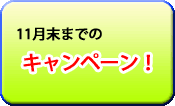 キャンペーン